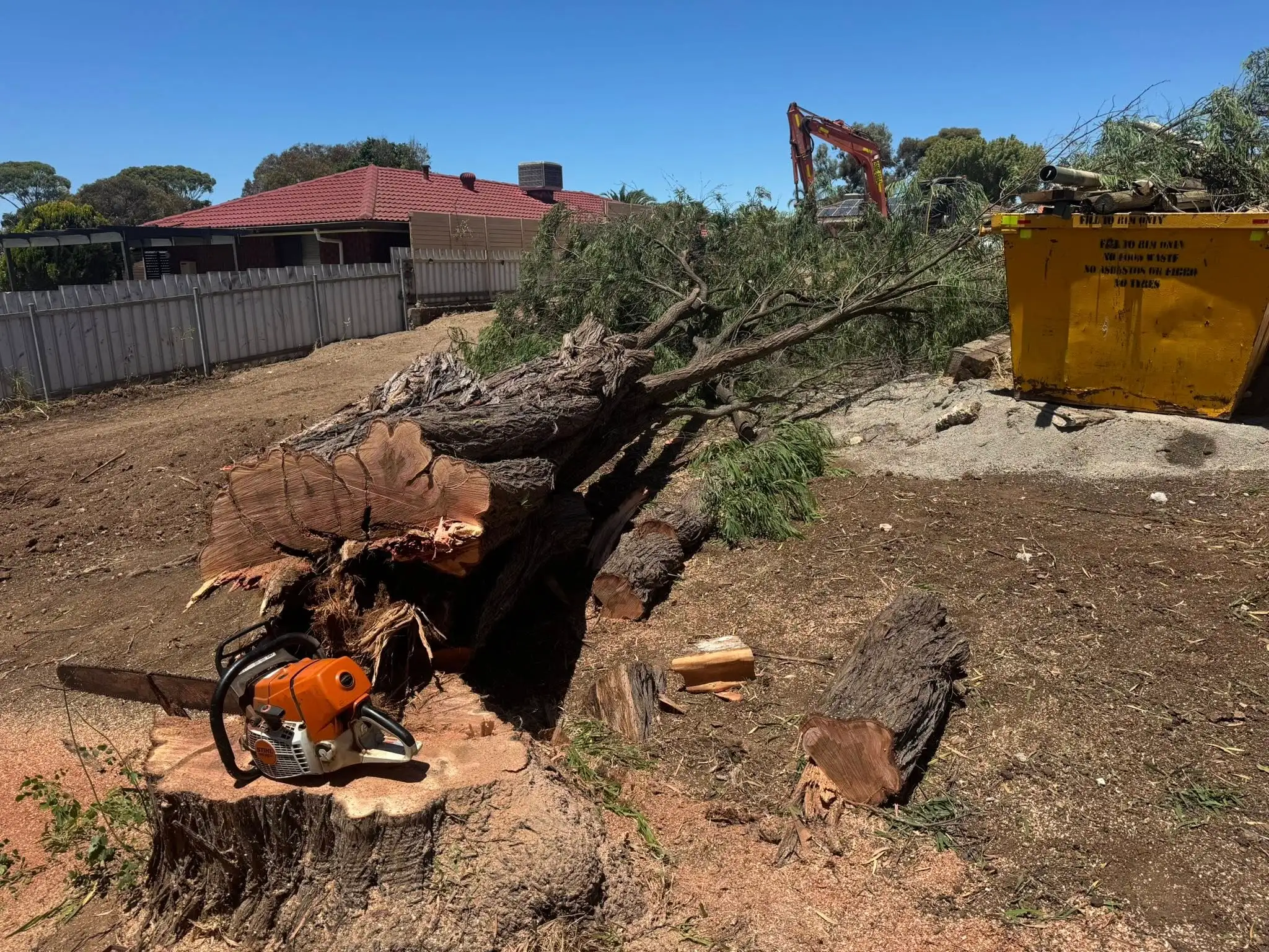 Superior Tree and Stump arborist work on an Adelaide property